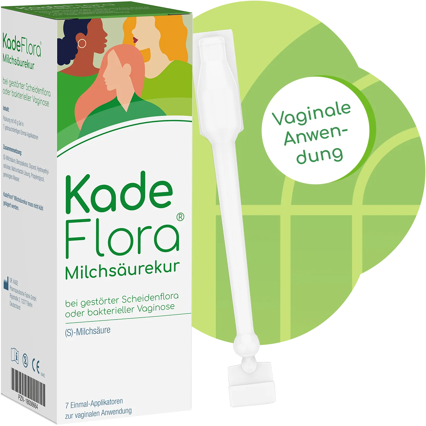 Intimbereich der Frau Funktion von Vulva, Vagina