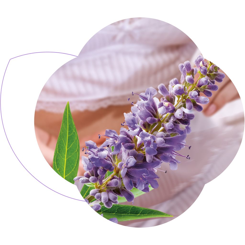 pflanzliche-superkraft-bei-pms